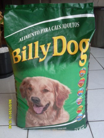 BILLY DOG